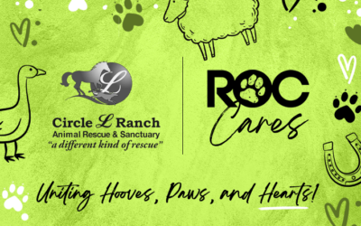 Embrace the Spirit of Giving: Celebrating 8 Years of ROC Title Agency with Circle L. Ranch