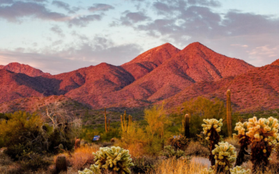 Discover Scottsdale, Arizona: A Premier Desert Oasis