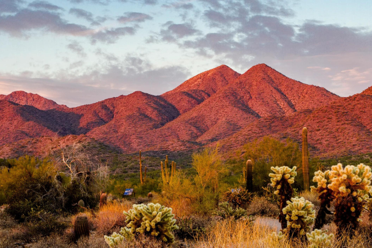 Discover Scottsdale, Arizona: A Premier Desert Oasis